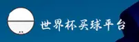 世界杯Buy球网(中国)官方网站 · WBCCN