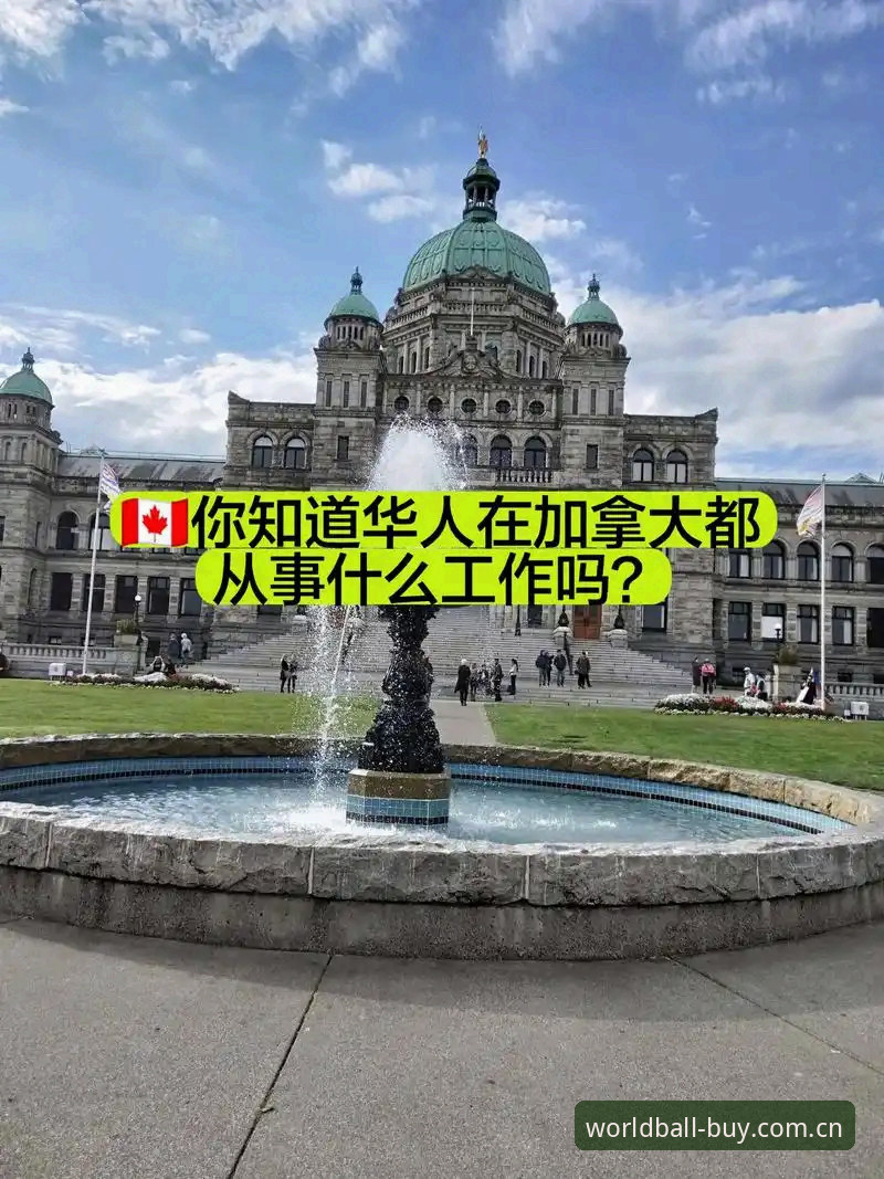WBCCN安卓版下载教程 揭秘WBCCN安卓版下载背后的真相:为什么华人用户都在找这个版本?